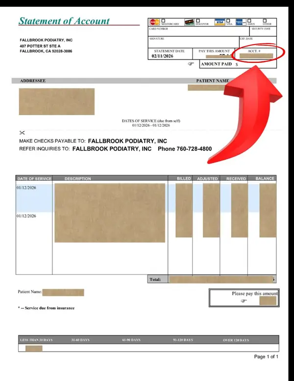 Sample statement showing account number location in the top right corner, circled in red